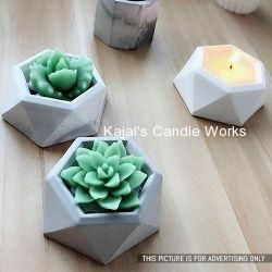 Diamond Shaped Surface Plant Flower Pot