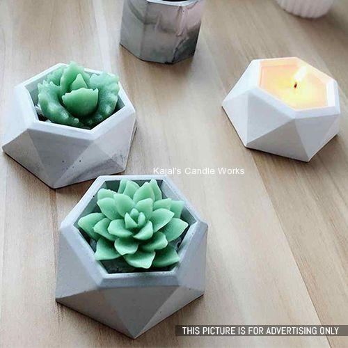 Diamond Shaped Surface Plant Flower Pot