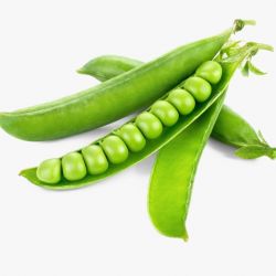 Pea (Matar)