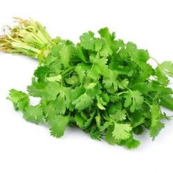 Coriander Leaves (Hara Dhaniya Patta, Kothmir)