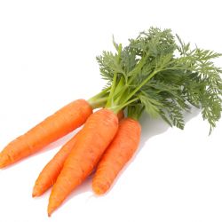 Carrot (Gajar)