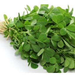 Green Fenugreek (Hari Methi)