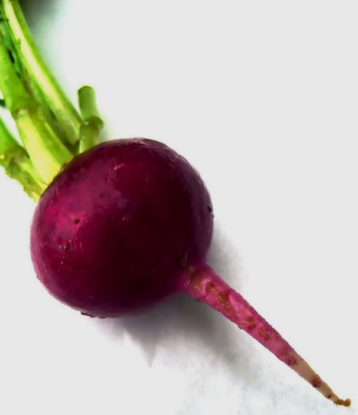 Beetroot