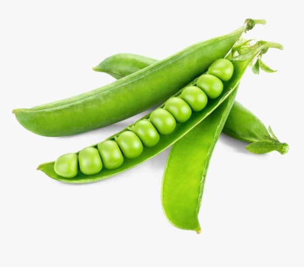 Pea (Matar)
