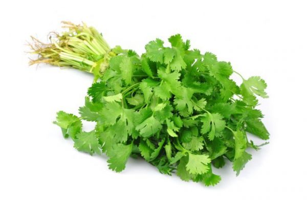 Coriander Leaves (Hara Dhaniya Patta, Kothmir)