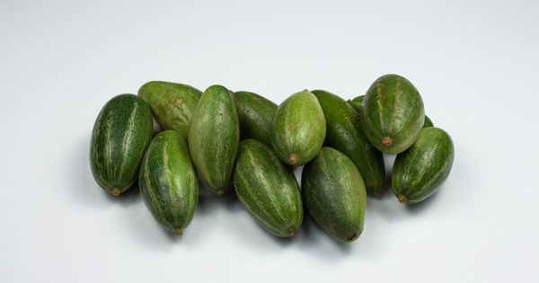 Pointed gourd (Parwal, Parvar)