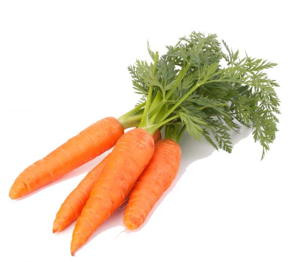 Carrot (Gajar)