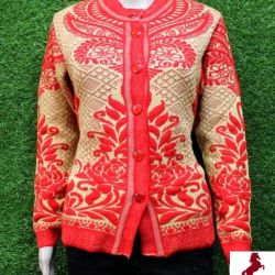 Classy Elegant Women Swaters