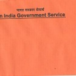 SE-4 Envelope OIGS Printed on Envelope Size 7