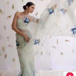 Organza cream saree