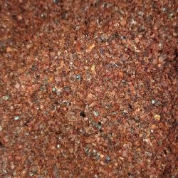 Mirchi (Lal marcha)rajasthani