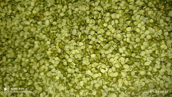 Moong Dal 