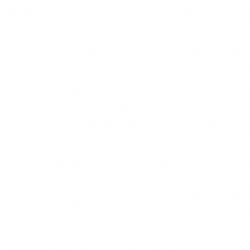 Comfort Wear Women Cotton Lycra Regular Fit Solid Lace Pants, Trousers, zalar Pants for Women, Girls (Pack of 1)rani