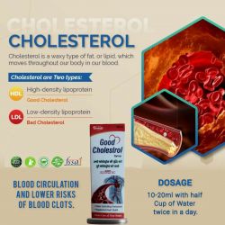 Good Cholesterol Syrup