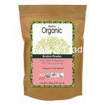 Radico 100 ORGANIC Certified Hair Treatments & Conditioning Herbs Powder (Brahmi)