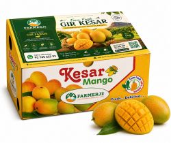 Kesar Mango 5 Kg Box