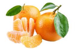 Mini Orange (Imported), Mandarin Orange