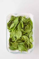 Cleaned Spinach / Palak (Fresh)