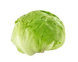 Lettuce Iceburg