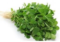 Methi/Fenugreek Bunch