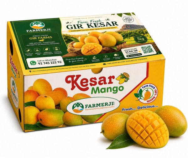 Kesar Mango 5 Kg Box
