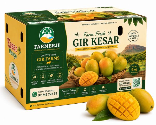 Kesar Mango 9 Kg Box