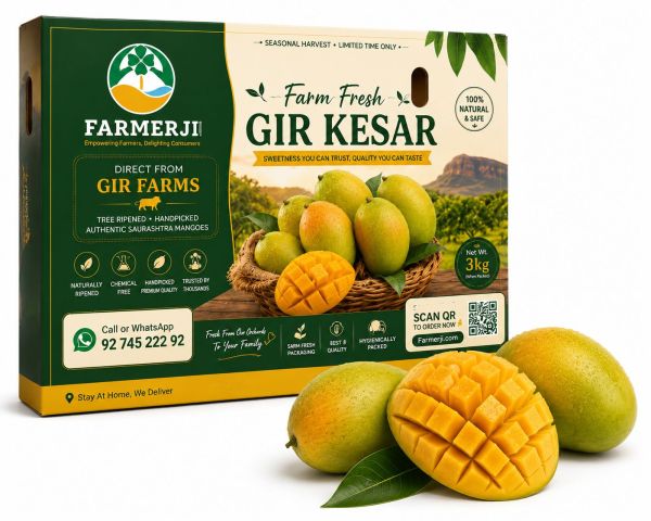 Kesar Mango 3 Kg Box