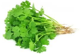 Coriander Leaves, Dhana