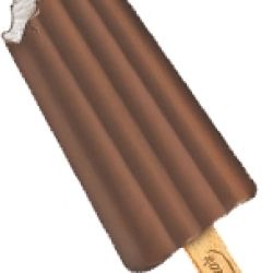 champ choco bar 60 ml x 16