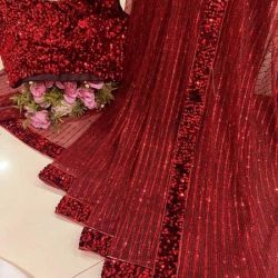 Saree With Lace Border 