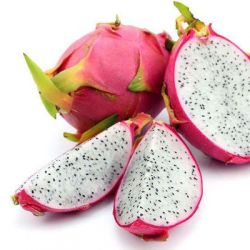 White dragon fruit plant