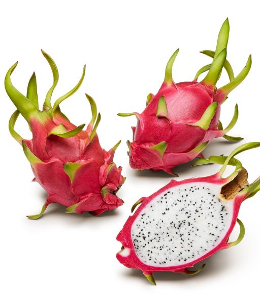 White dragon fruit plant