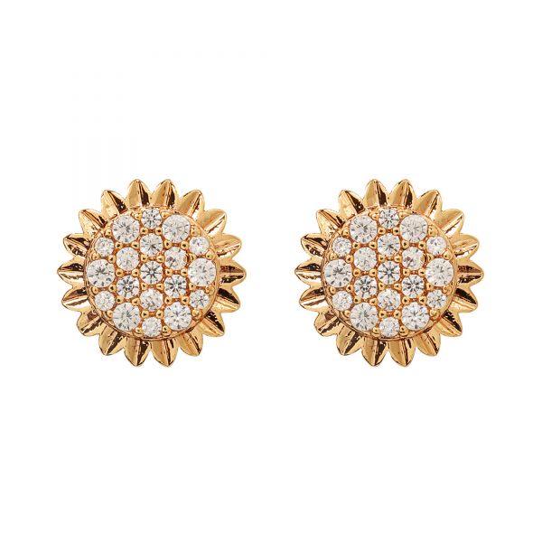 Latest Traditional Stylish Earrings