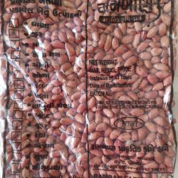 Groundnut seed