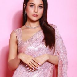 Shehnaaz Gill Party Wear Sequence Work Bollywood Saree