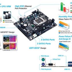 Gigabyte GA-H81M-S Motherboard