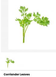 Corriander leaves 