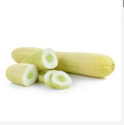 Cucumber white 