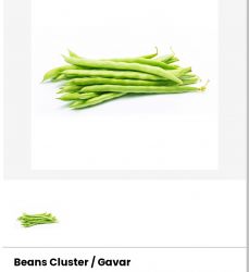 Beans cluster/gavar 