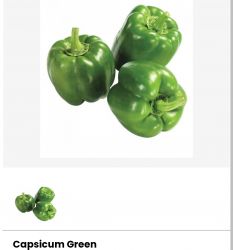 Capsicum 