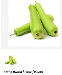 Bottle gourd/Laukik/dudi