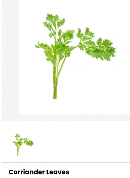 Corriander leaves 