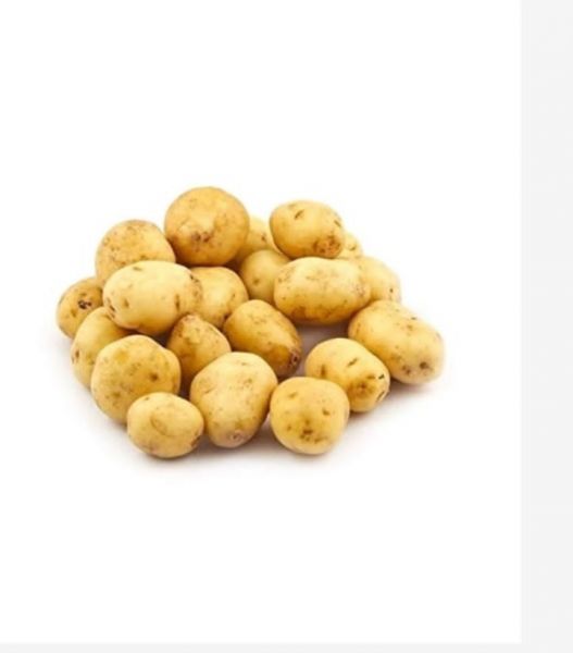 Potato 