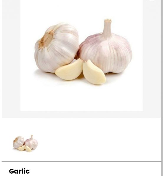 Garlic