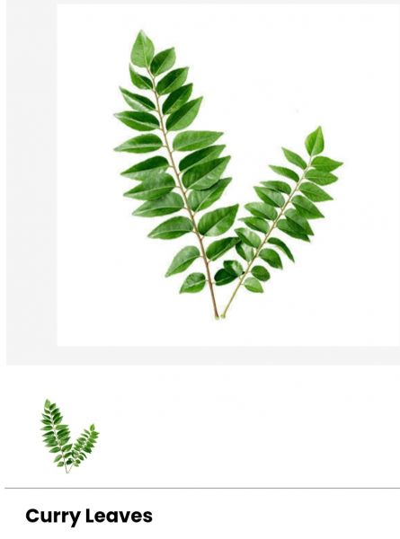 Curry leaves