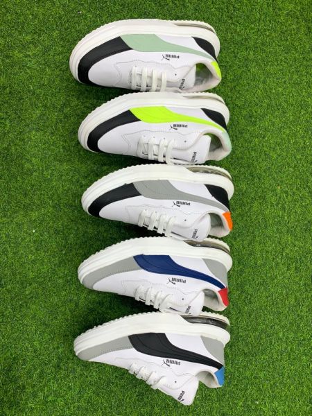 Shoes collection branded 