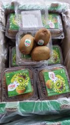 Green kiwi