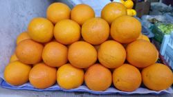 Malta orange
