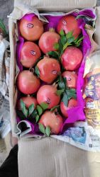 Pomegranate