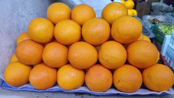 Malta orange